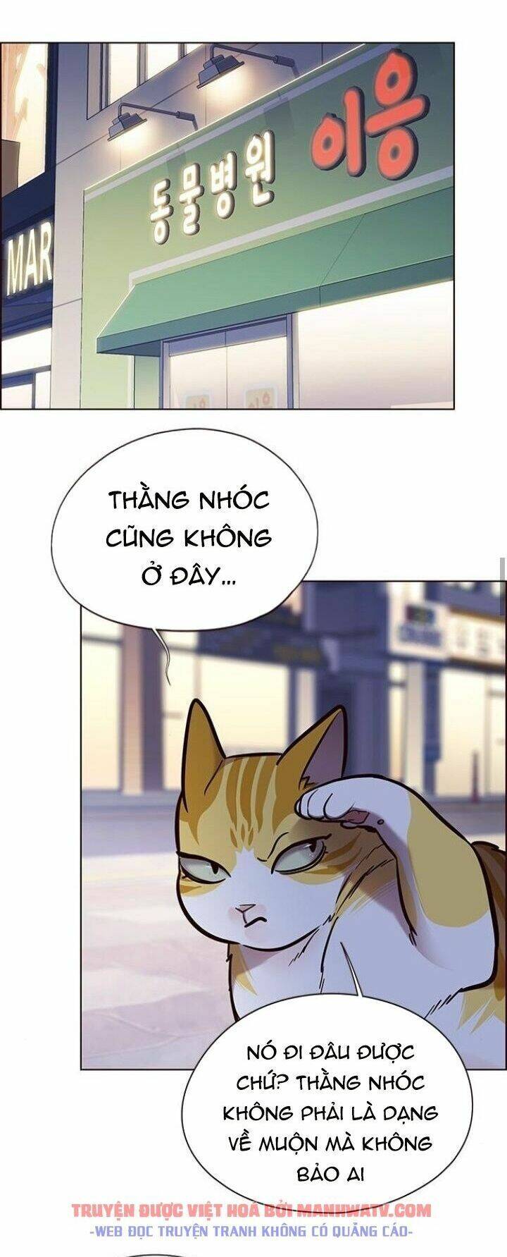 Hoá Thân Thành Mèo Chapter 125 - 65