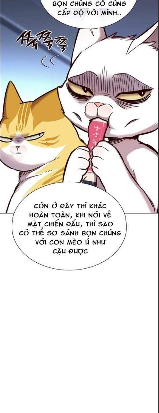 Hoá Thân Thành Mèo Chapter 159 - 14