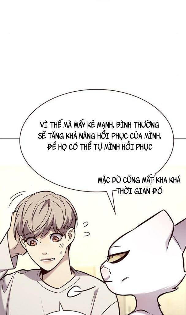 Hoá Thân Thành Mèo Chapter 180 - 12