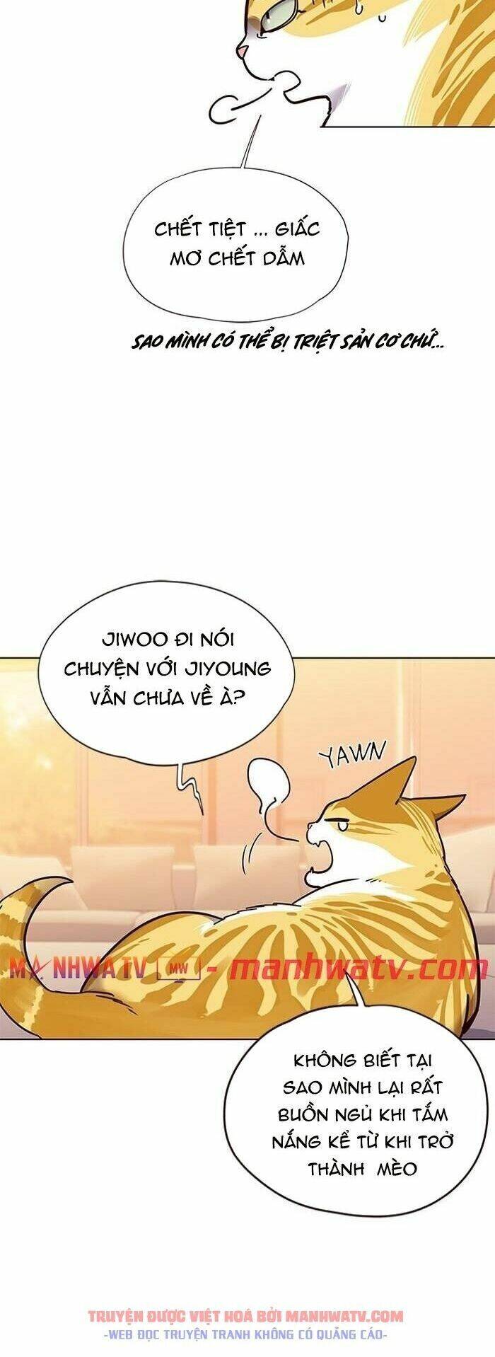 Hoá Thân Thành Mèo Chapter 56 - 14