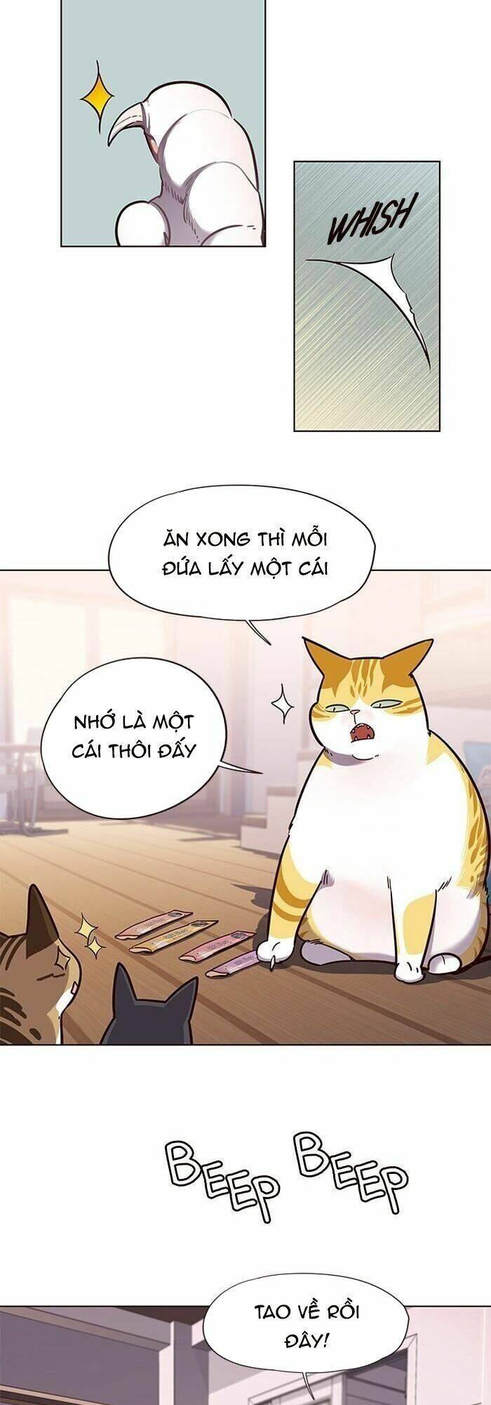 Hoá Thân Thành Mèo Chapter 56 - 43