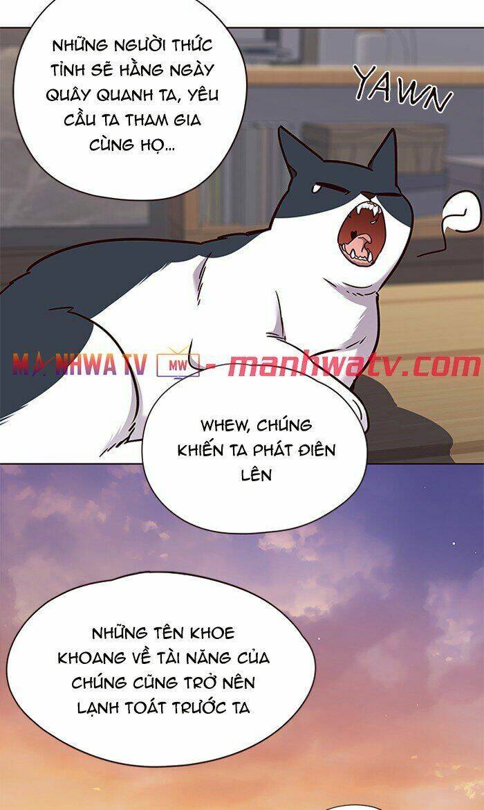 Hoá Thân Thành Mèo Chapter 64 - 66