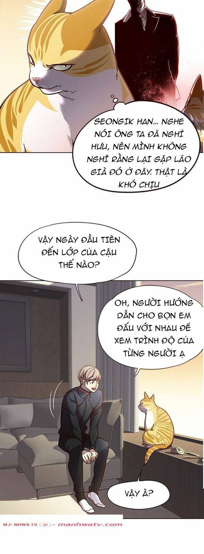 Hoá Thân Thành Mèo Chapter 72 - 66