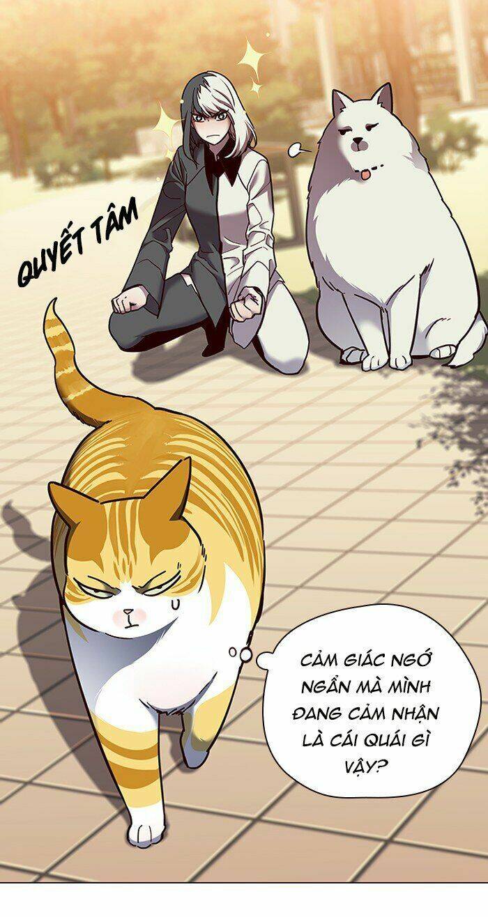 Hoá Thân Thành Mèo Chapter 81 - 11