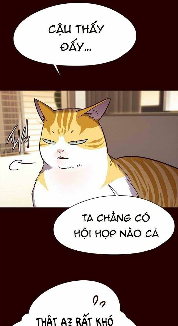 Hoá Thân Thành Mèo Chapter 96 - 12