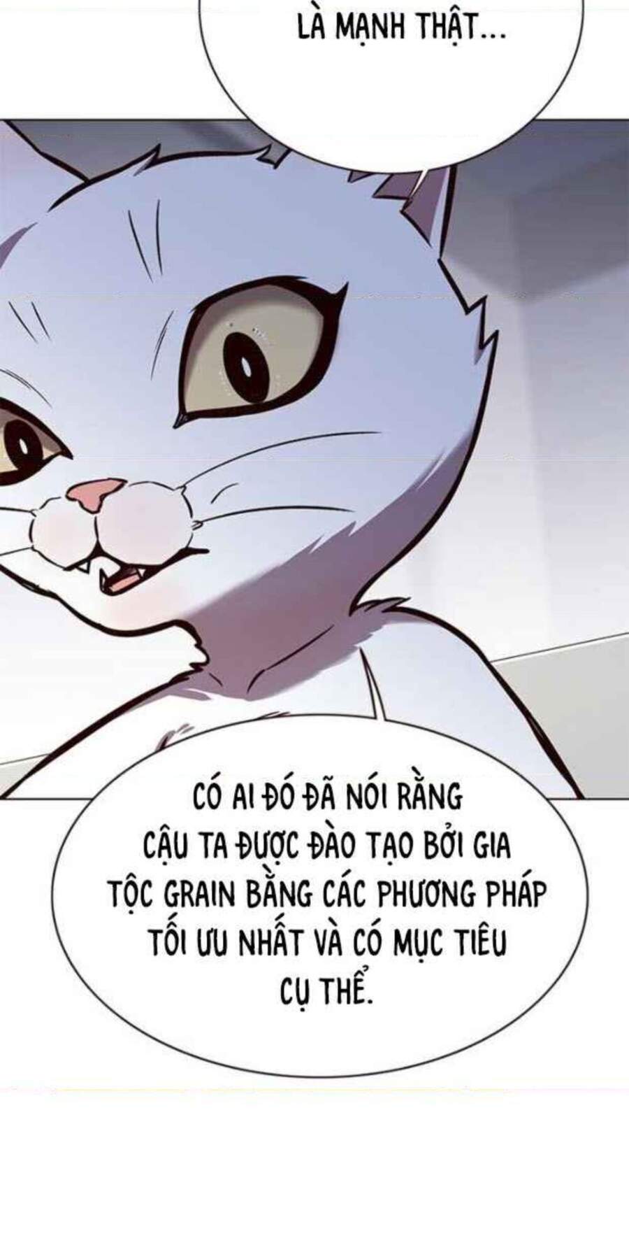 Hoá Thân Thành Mèo Chapter 154 - 37