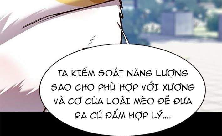 Hoá Thân Thành Mèo Chapter 166 - 27