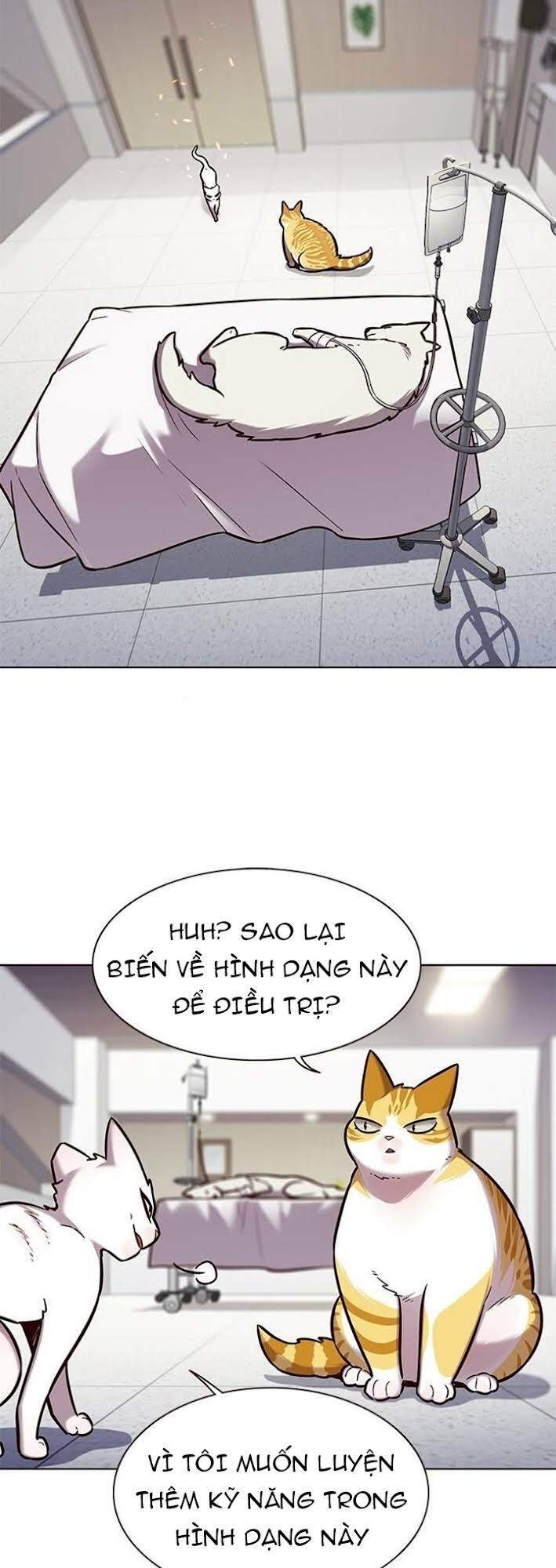 Hoá Thân Thành Mèo Chapter 166 - 9