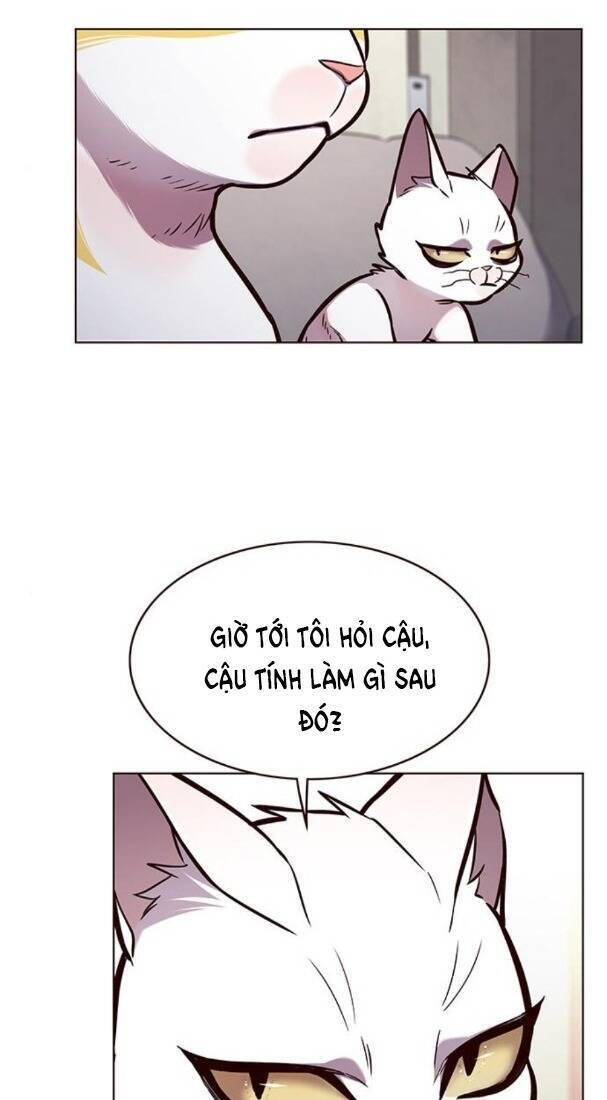 Hoá Thân Thành Mèo Chapter 173 - 29