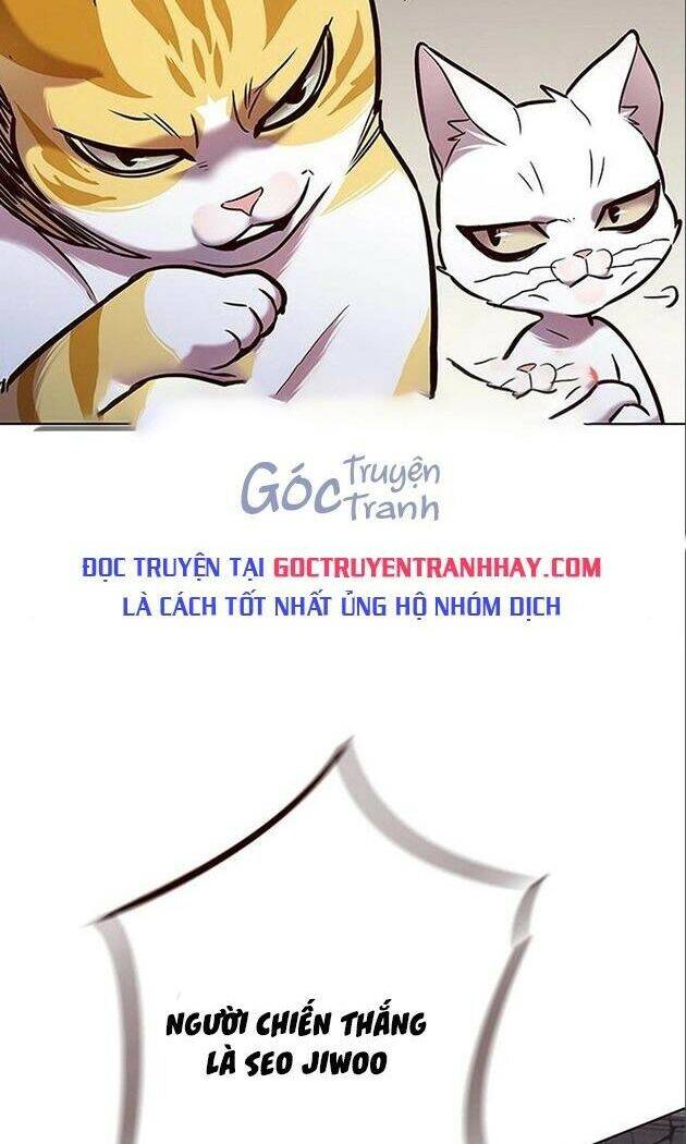 Hoá Thân Thành Mèo Chapter 198 - 89