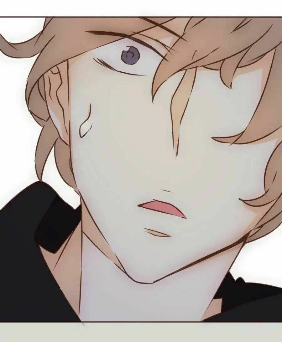 Tai Cá Voi Chapter 1 - 24