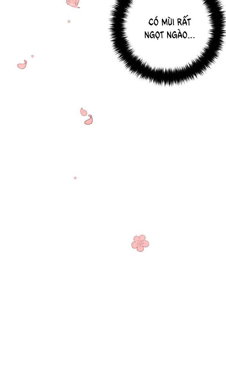 Tôi Là Tiểu Thư Của Gia Đình Này Chapter 144 - 39