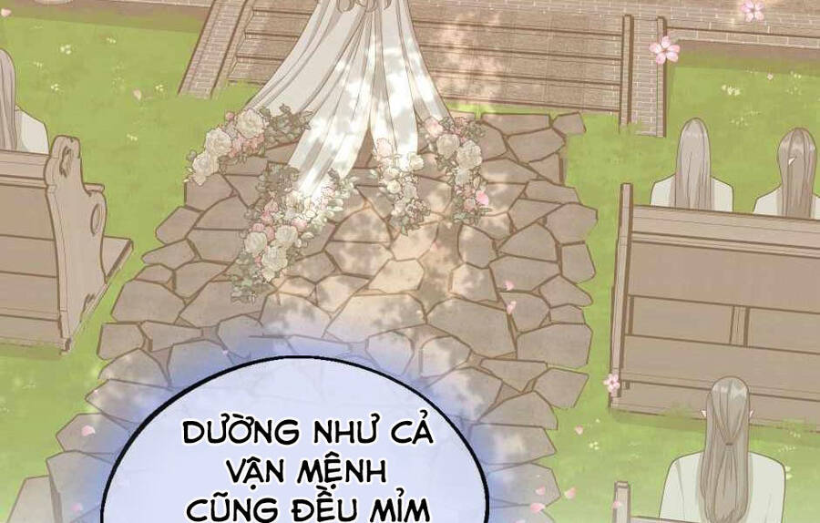 Ánh Sáng Cuối Con Đường Chapter 131 - 146
