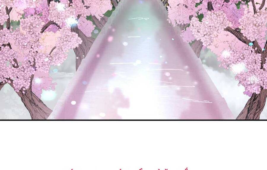 Ánh Sáng Cuối Con Đường Chapter 151 - 29