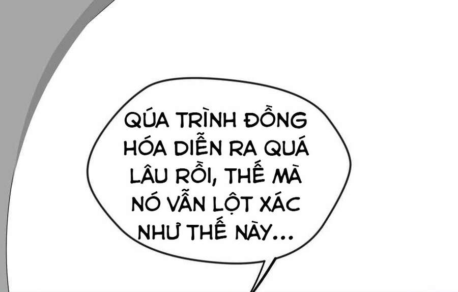 Ánh Sáng Cuối Con Đường Chapter 123 - 14