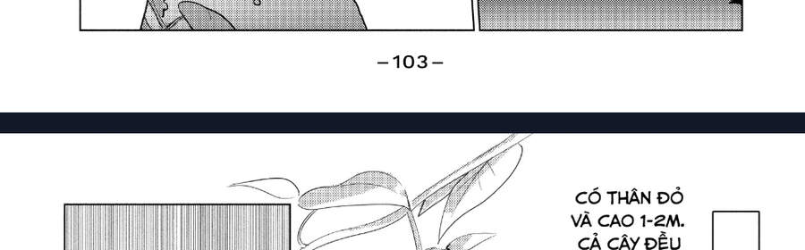 Sounan Desu Ka? Chapter 38 - 17