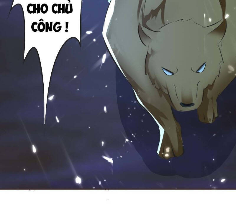 Tối Cường Thăng Cấp Chapter 206 - 21