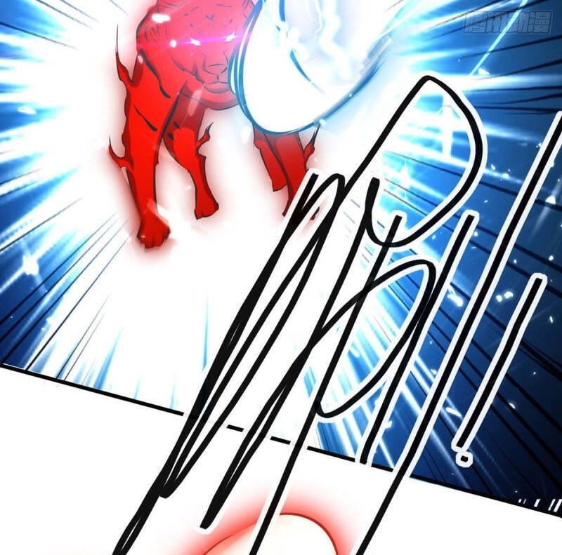 Tối Cường Thăng Cấp Chapter 206 - 4