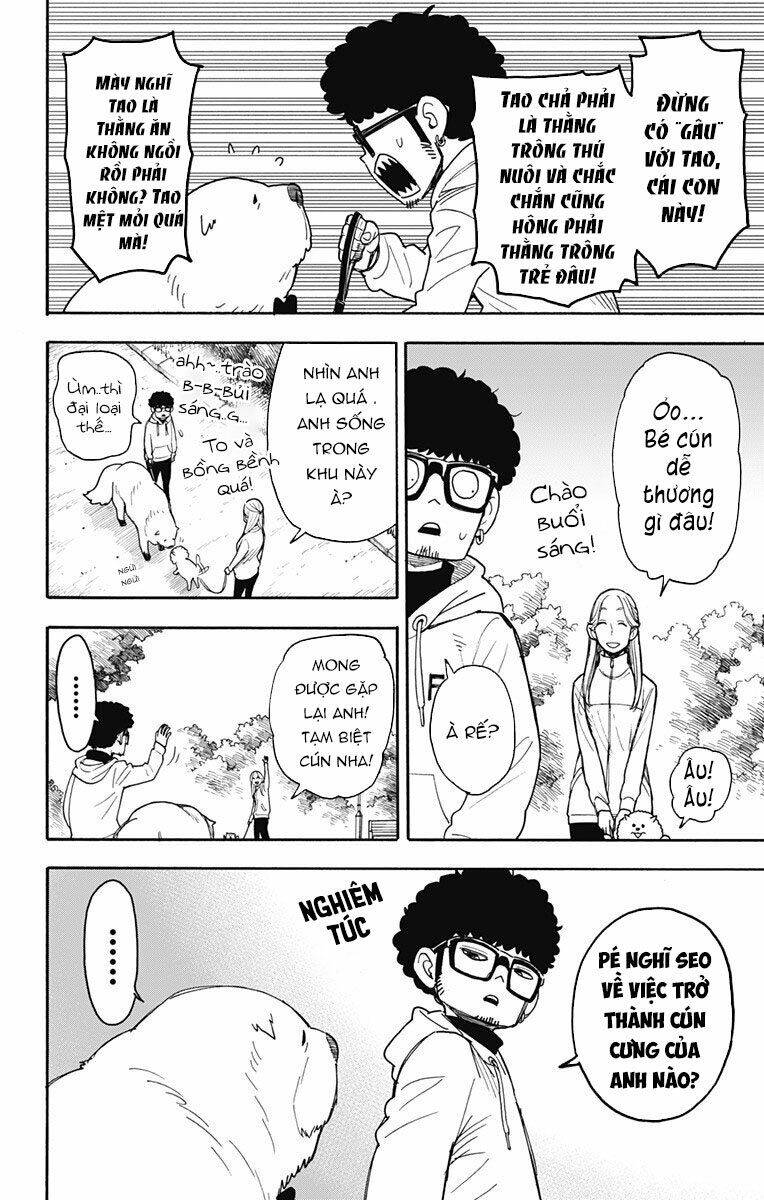 Gia Đình Điệp Viên Chapter 50 - 4