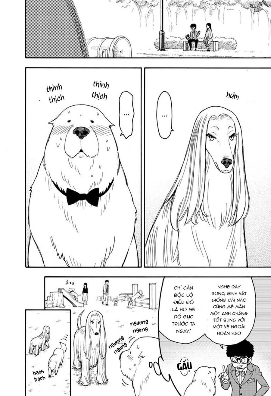 Gia Đình Điệp Viên Chapter 62.6 - 7