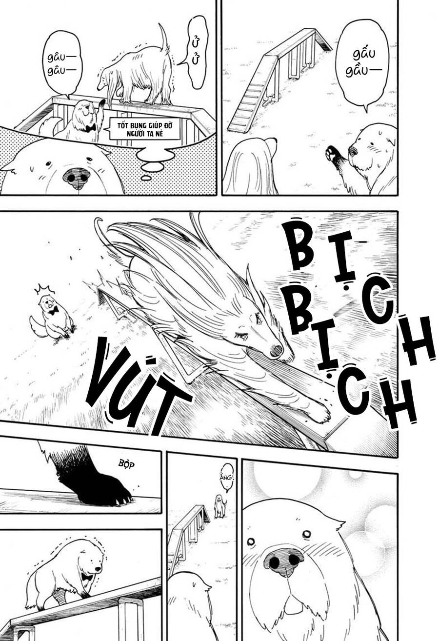 Gia Đình Điệp Viên Chapter 62.6 - 8