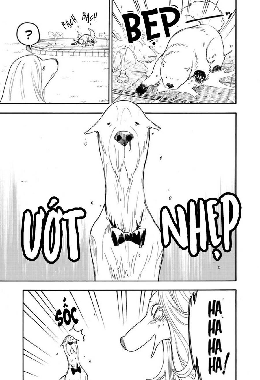 Gia Đình Điệp Viên Chapter 62.6 - 10