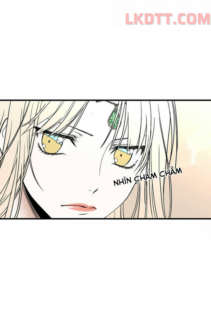 Mylord, Nữ Hoàng Của Loài Sói! Chapter 4 - 12
