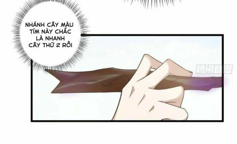 Độc Bộ Thiên Hạ: Đặc Công Thần Y Chapter 206 - 33