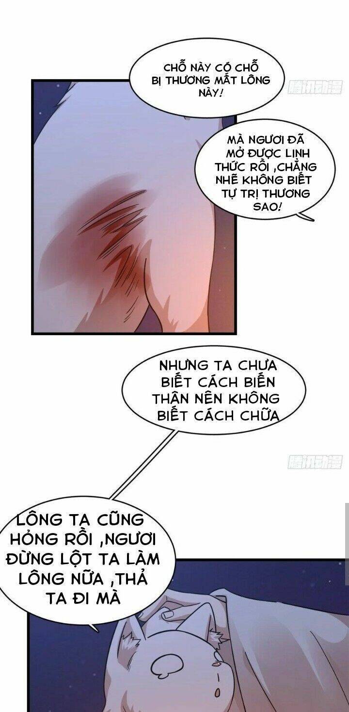 Độc Bộ Thiên Hạ: Đặc Công Thần Y Chapter 209 - 5