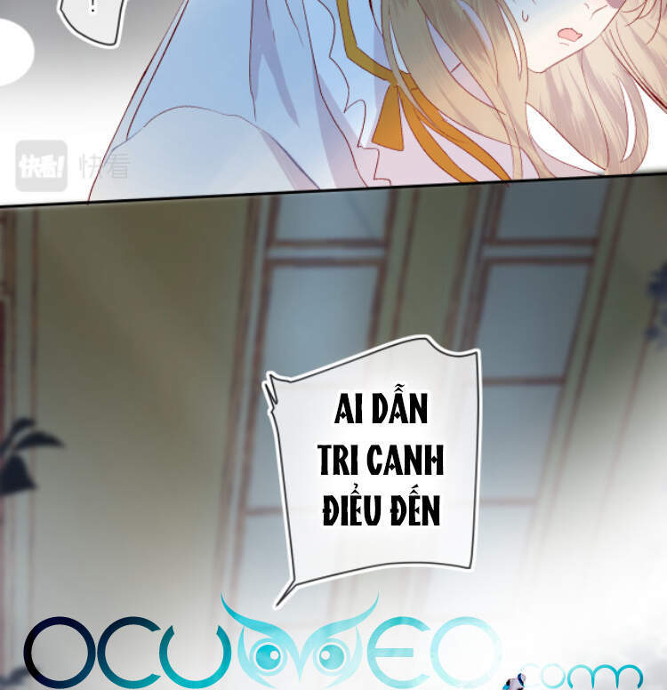 Hoa Dữ Ẩn Nặc Chi Ô Chapter 117 - 11