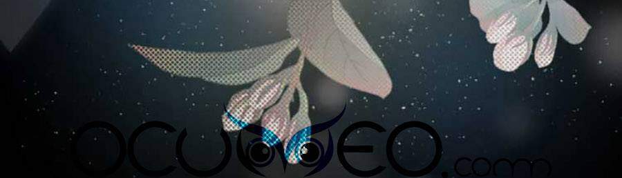 Hoa Dữ Ẩn Nặc Chi Ô Chapter 127 - 4