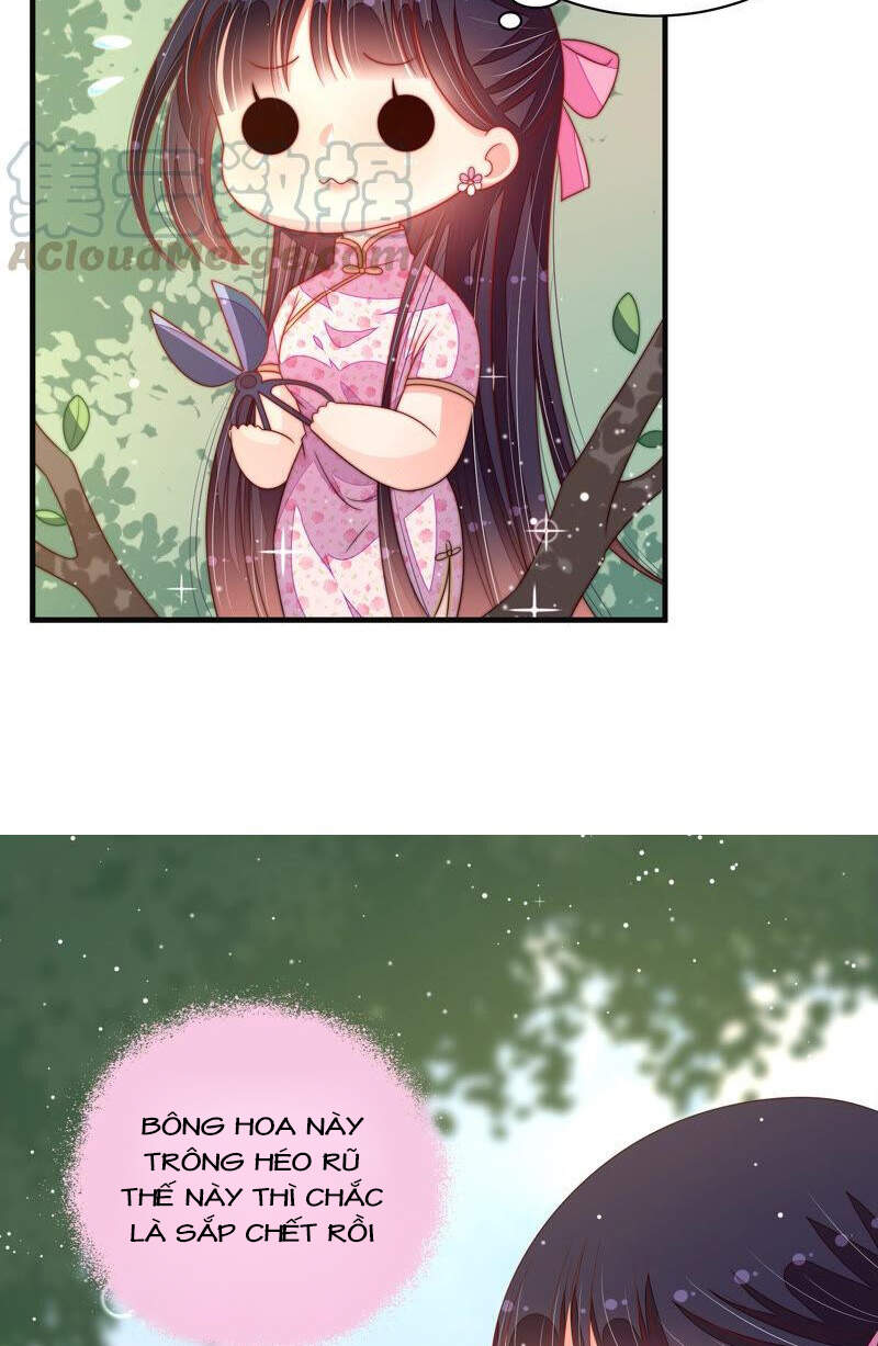 Ngày Nào Thiếu Soái Cũng Ghen Chapter 343 - 17