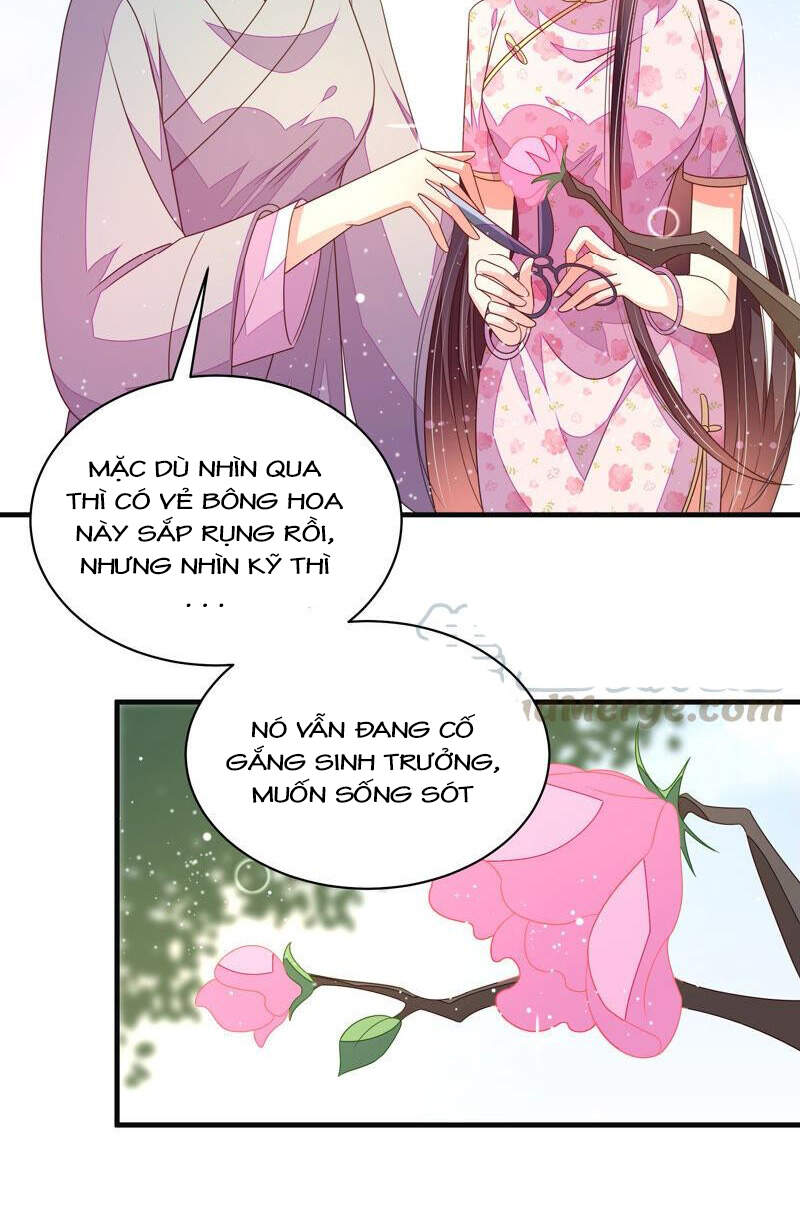 Ngày Nào Thiếu Soái Cũng Ghen Chapter 343 - 19
