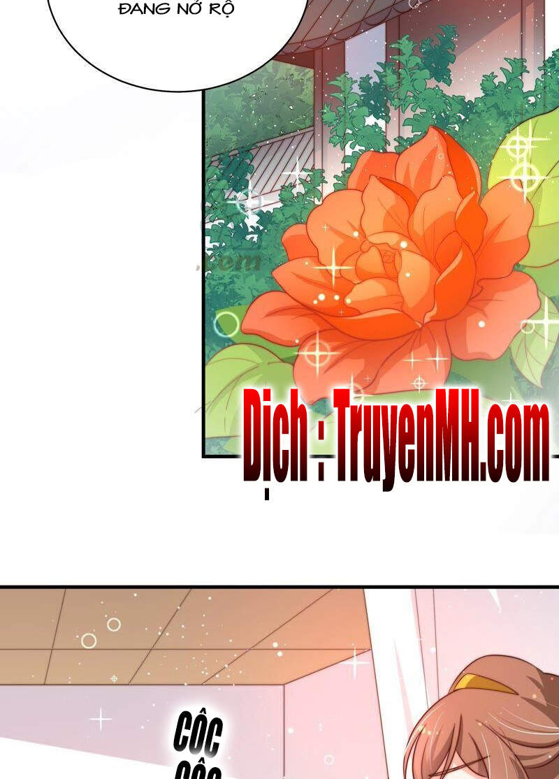 Ngày Nào Thiếu Soái Cũng Ghen Chapter 364 - 9