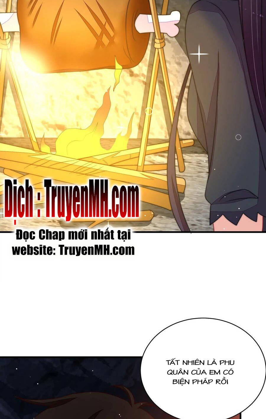 Ngày Nào Thiếu Soái Cũng Ghen Chapter 394 - 17