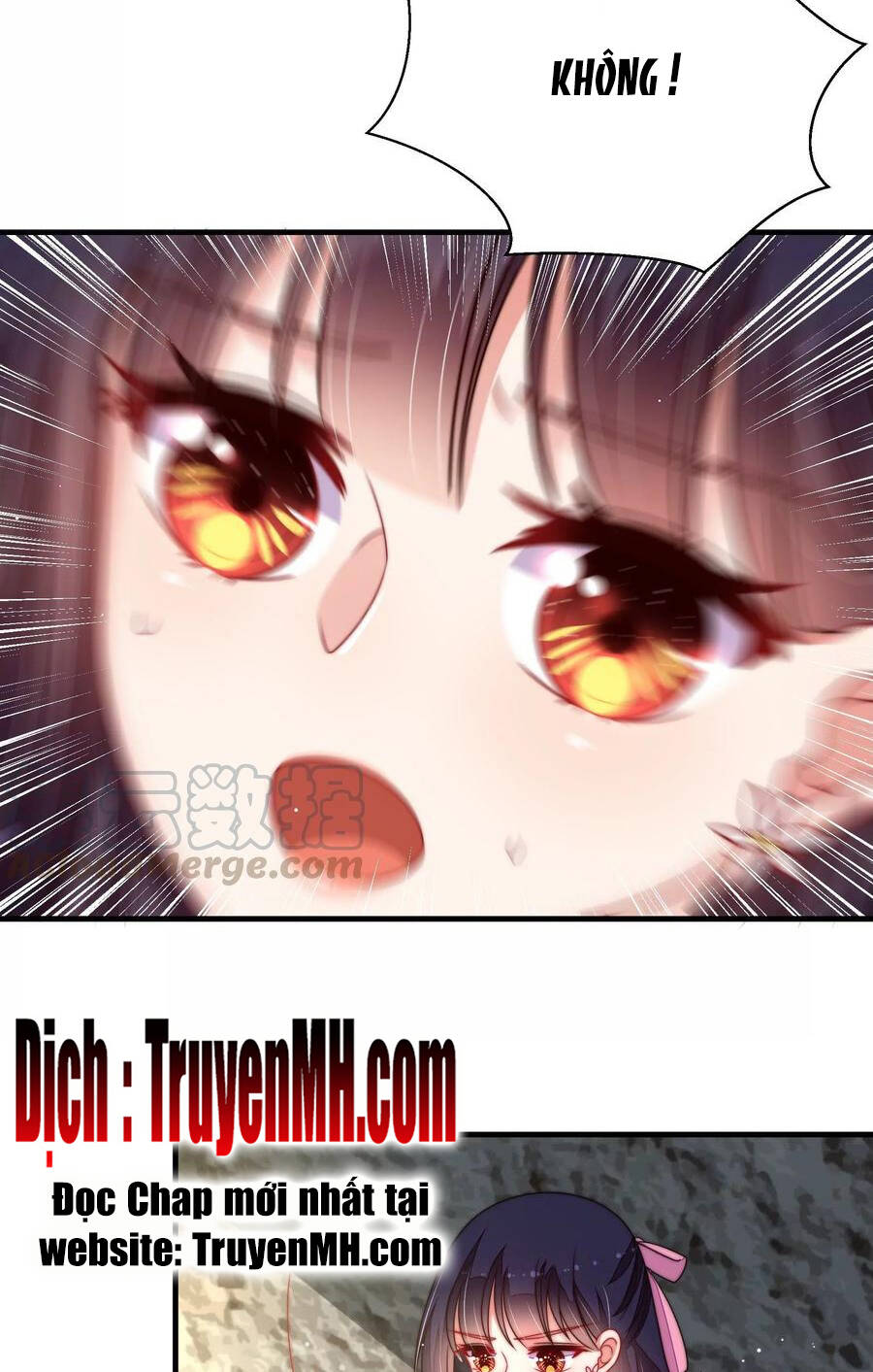Ngày Nào Thiếu Soái Cũng Ghen Chapter 394 - 6