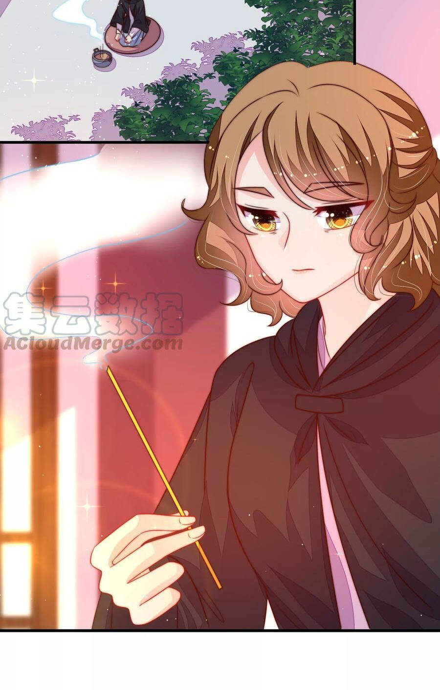 Ngày Nào Thiếu Soái Cũng Ghen Chapter 408 - 17