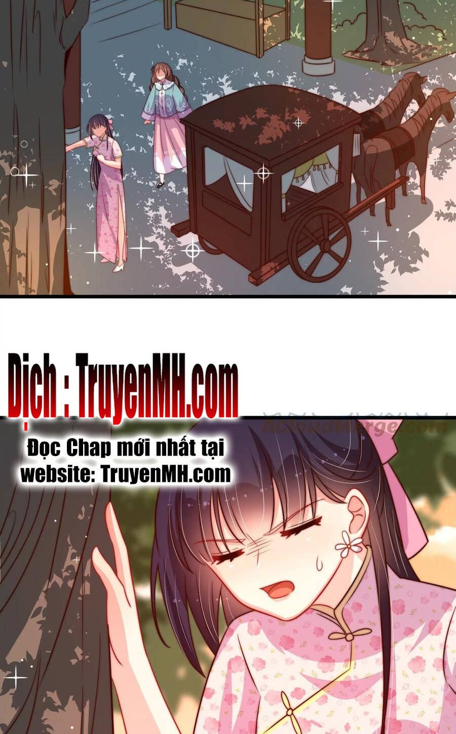 Ngày Nào Thiếu Soái Cũng Ghen Chapter 441 - 5