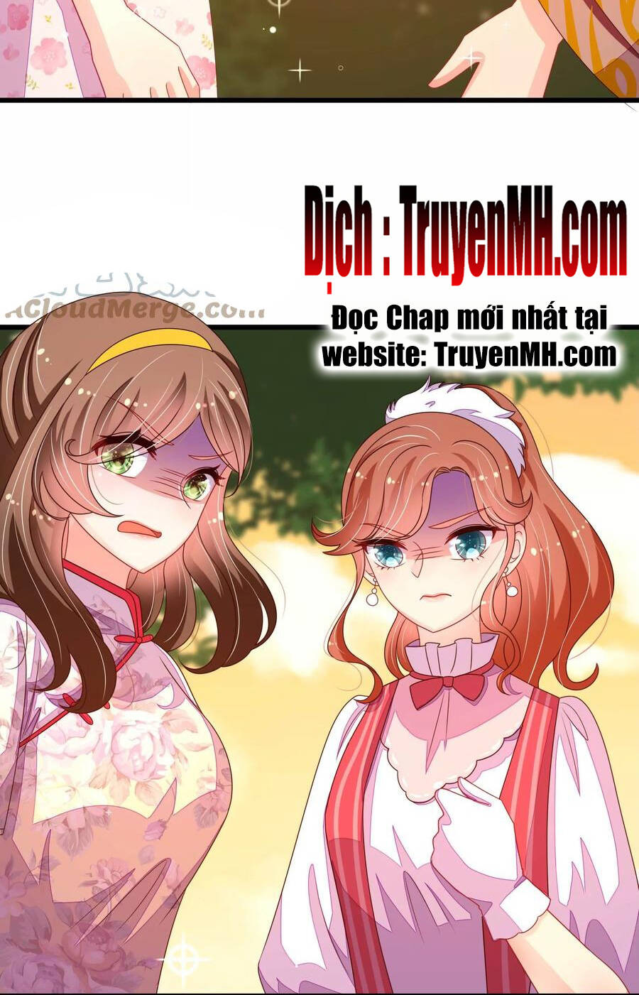 Ngày Nào Thiếu Soái Cũng Ghen Chapter 442 - 14