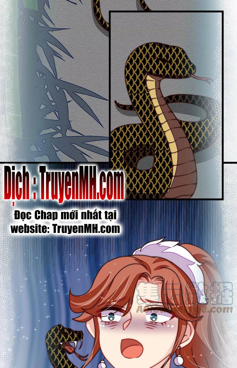 Ngày Nào Thiếu Soái Cũng Ghen Chapter 482 - 12