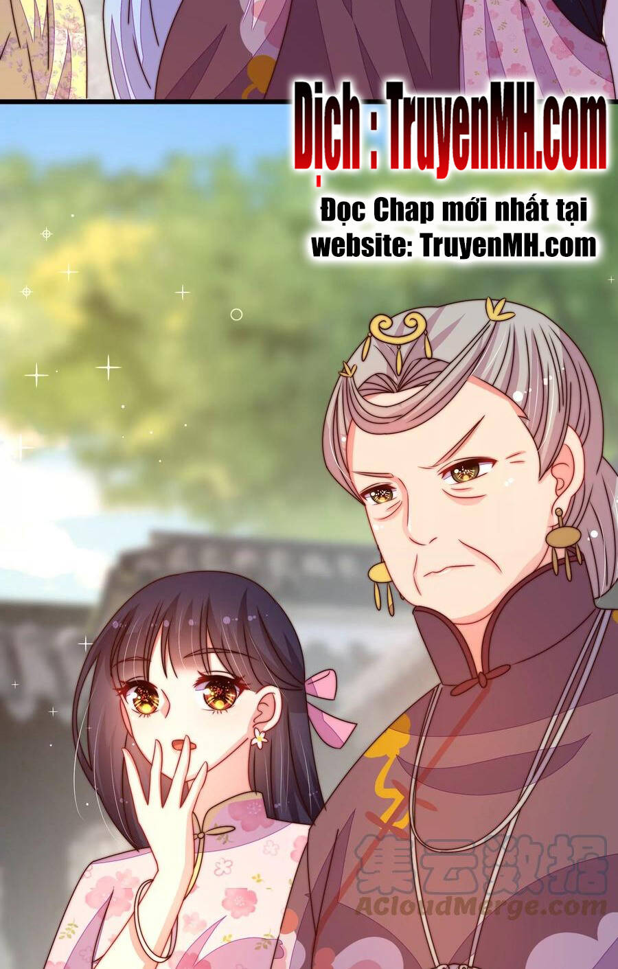 Ngày Nào Thiếu Soái Cũng Ghen Chapter 484 - 11