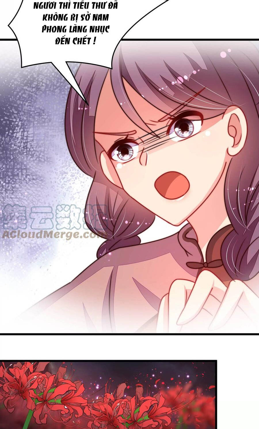 Ngày Nào Thiếu Soái Cũng Ghen Chapter 506 - 15