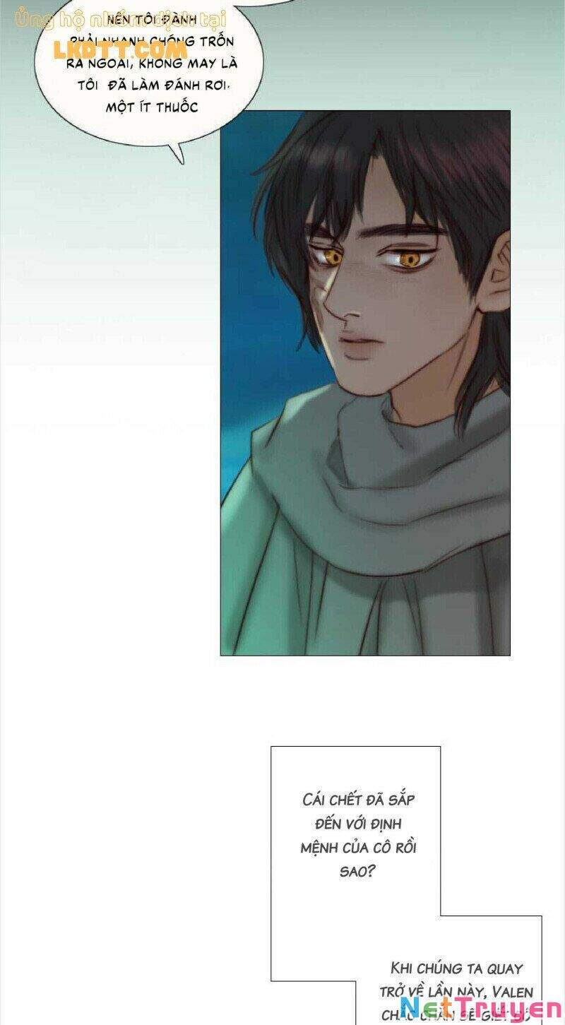 Mùa Đông Tăm Tối Chapter 65 - 28