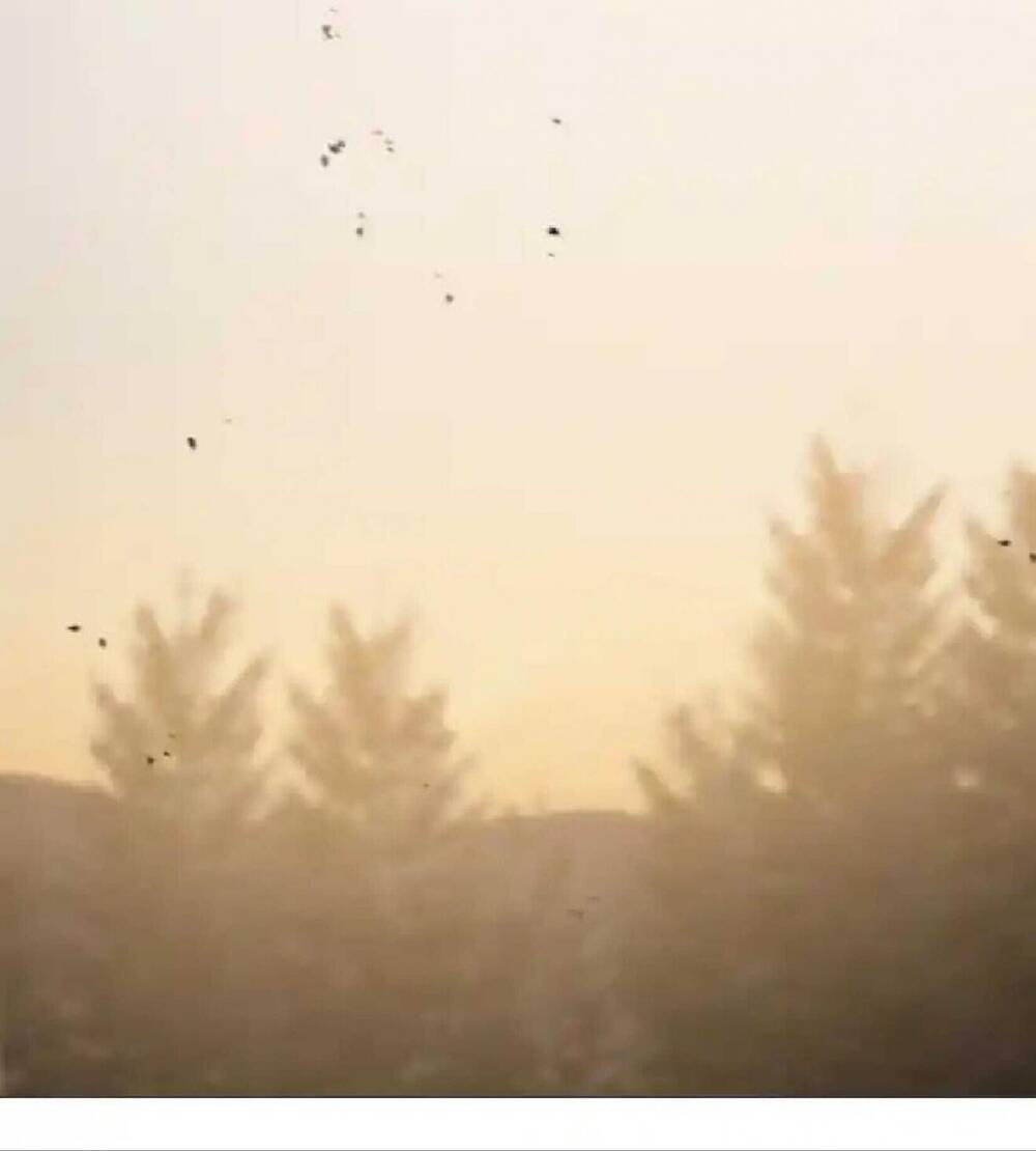 Mùa Đông Tăm Tối Chapter 58 - 10