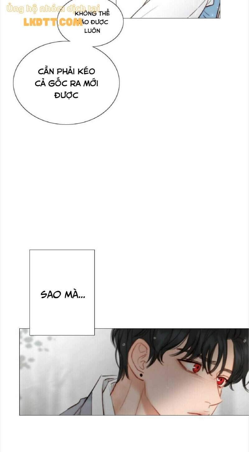 Mùa Đông Tăm Tối Chapter 70 - 36