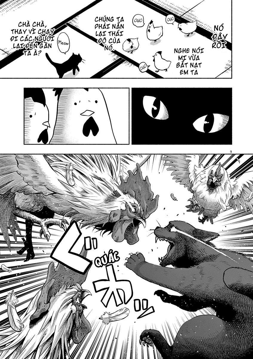 Ponkotsu Ponko Chapter 49 - 10