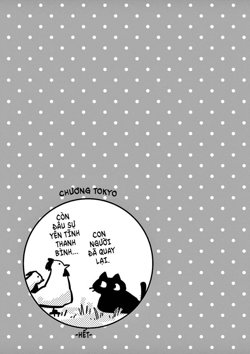 Ponkotsu Ponko Chapter 61 - 21