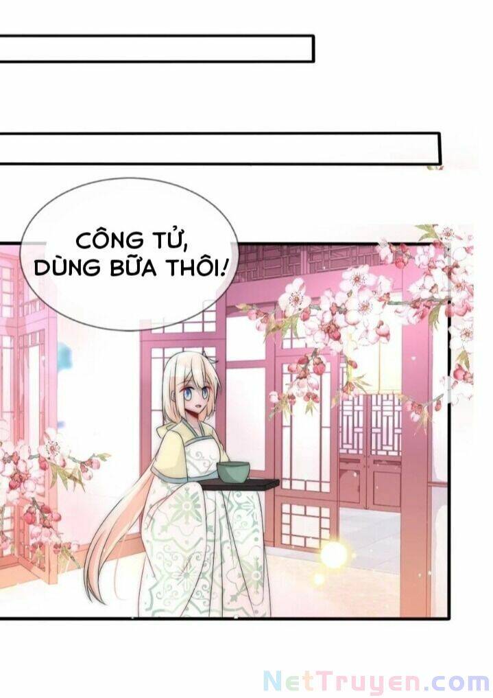 Kế Hoạch Sủng Ái Của Tiểu Công Chúa Chapter 61 - 31