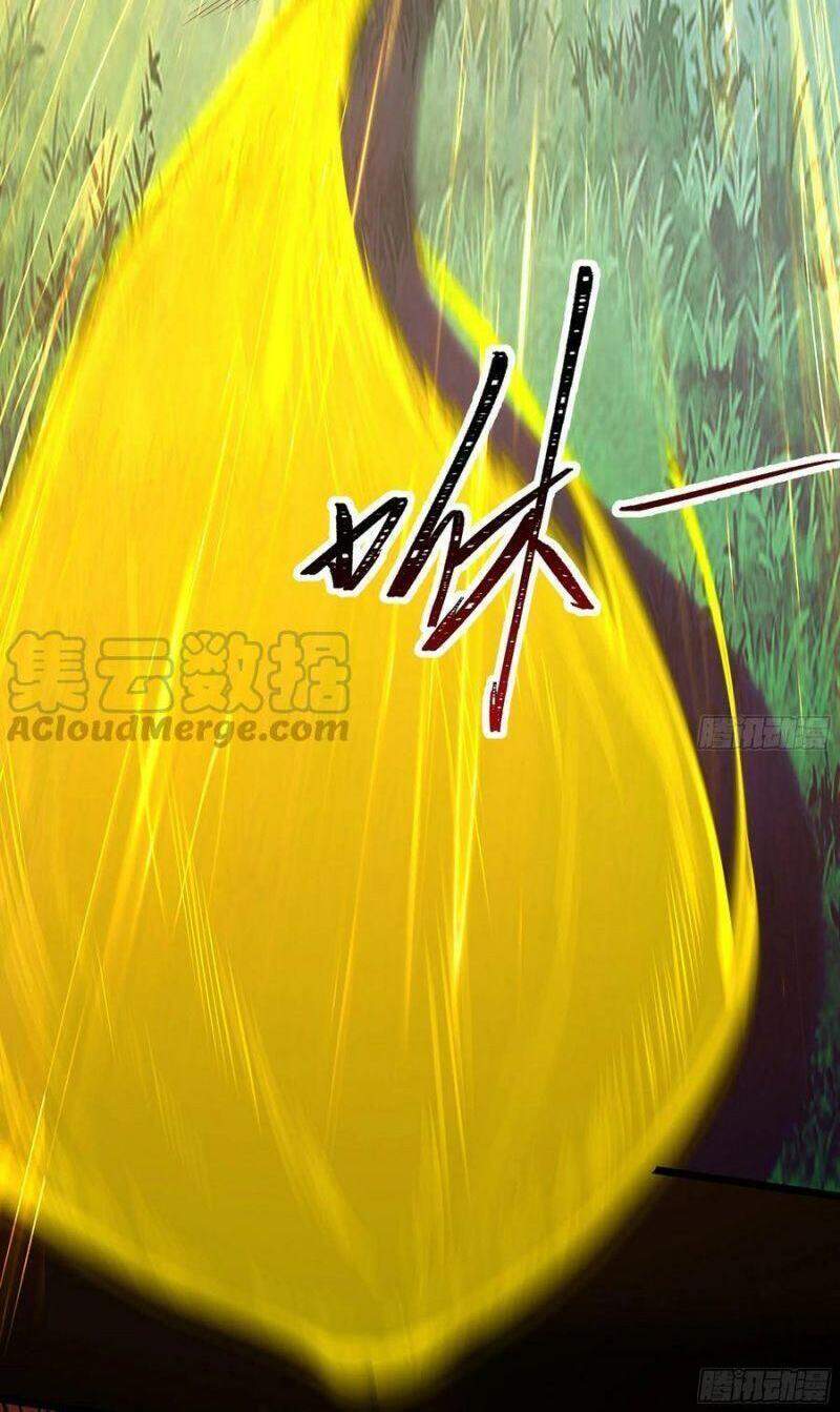 Trùng Sinh Đô Thị Thiên Tôn Chapter 246 - 29