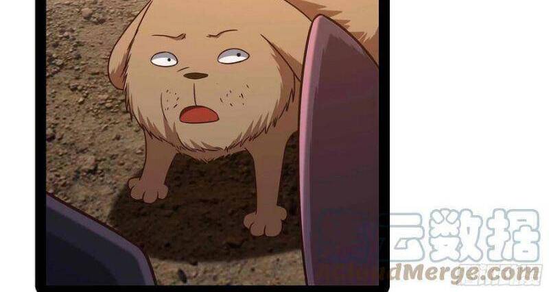 Trùng Sinh Đô Thị Thiên Tôn Chapter 294 - 5